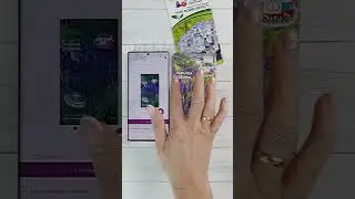 Что посеять на рассаду в январе.