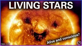 Did The Universe Come From Nothing? Can Stars Be Alive? What's The Best Nebula? | Q&A 225