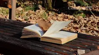 В парк с книгой. Ловим последние теплые деньки...