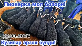 Камаши Пионерка мол бозори нархлари 22.03.2024