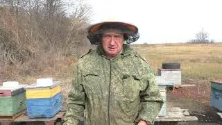 БЕДА ОДНА НЕ ХОДИТ (куда уходят пчёлы)ч. 4