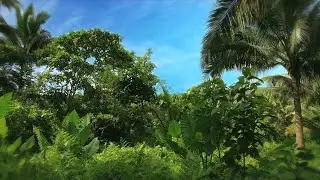 No Copyright Video, Background, Green Screen, Motion Graphics, Animated Background, Copyright Free