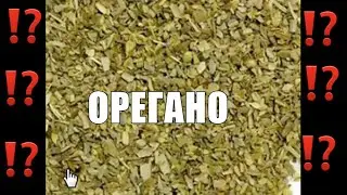 Польза специй Орегано Чем полезен орегано