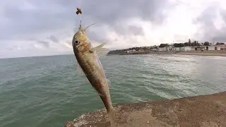 Морская рыбалка. Первая барабуля.