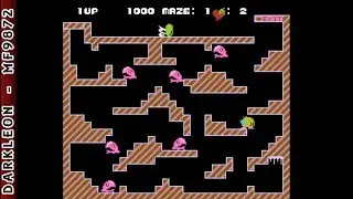 NES - Chack'n Pop (1985)