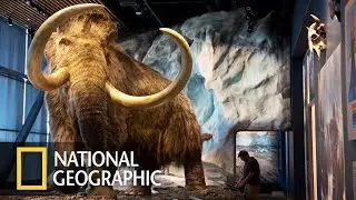 Мамонты National Geographic | Документальный Фильм