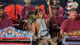 Mebarung‼️Tukang Cenceng Tampil Gaspollll || Wahyu Ulangun Nagasepaha