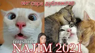 Najim mushuk-2021 eng sara to'plam | Прикол дубляжлар