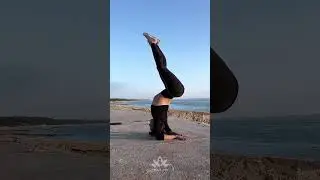 Flexibility Easy Stretch Yoga Flow 