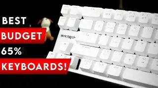 Top 3 Best Budget 65 Keyboards In 2024! ✅