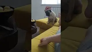 Теперь я знаю откуда предки Кузьмича