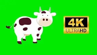 3 COW Green Screen Animated 4k 2023 ANIMAL GREEN SCREEN #13