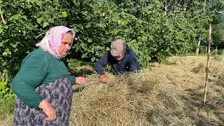 YILANLARDAN KURTULDUK BAHÇE İŞLERİ BAHÇEDE OLANLAR KÖY HAYATI BELGESEL