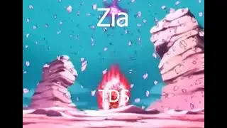 The TDS Raid in a nutshell…