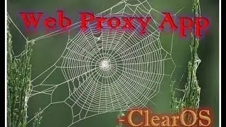 How to use Web Proxy Application [2014]