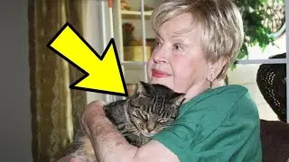 While Searching For Her Escaped Cat On A Wintry Night, Old Woman Stumbles Upon An Unbelievable Sight