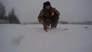 Матерая и хитрая щука. Рыбалка на жерлицы зимой. Подводная съемка хищника.