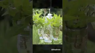 Hanging planter with plastic bottles