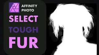 AFFINITY PHOTO: HOW TO SELECT TOUGH FUR (AND IS IT BETTER THAN PIXELMATOR PRO)