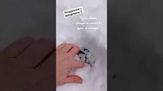 Поздравляю моих любимых зрительниц с праздником🌷 