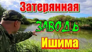 ЗАТЕРЯННАЯ ЗАВОДЬ ИШИМА!!! Река Ишим 2023. 