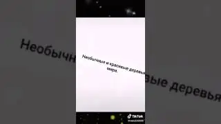 Необычные и самые красивые деревья мира