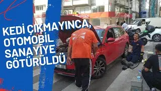 KEDİ ÇIKMAYINCA, OTOMOBİL SANAYİYE GÖTÜRÜLDÜ