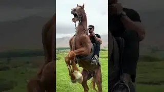 اقوى شخص يركب خيل !