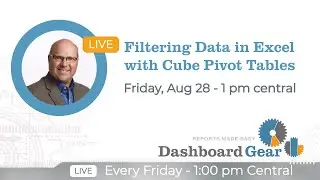 Filtering Data in Excel with Cube Pivot Tables