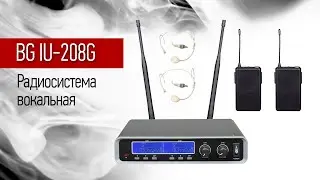 Радиосистема вокальная с головным микрофоном BG IU-208G