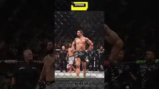 Борз снова в деле! Чимаев победил Уиттакера! 