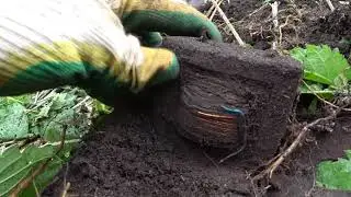 Поиск металла. Нашли прелесть и медь!!!