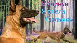 Малинуа|клип|Я стала сильнее