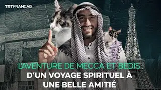 Mecca : Petite Hajjah à quatre pattes