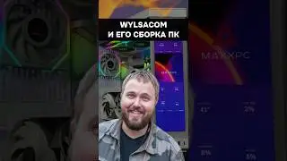 Wylsacom и его «антикризисная» сборка ПК #игры #игровойпк #гейминг #pc #games #gamingpc #ps5