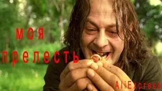Кольцо всевластия