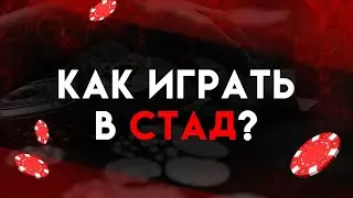 ЧТО ТАКОЕ СТАД И КАК В НЕГО ИГРАТЬ?