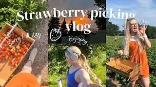 Making the most of June 2024 | Strawberry picking 🍓