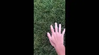 When an osu!mania player touches grass...