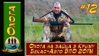 Охота на зайца сезон 2016 2017  Бекас Авто ВПО 201 М