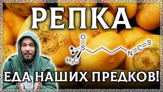 РЕПА – ЕДА НАШИХ ПРЕДКОВ! Репка подавляет РАК! (Здоровье, пп)