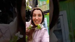Найди кота
