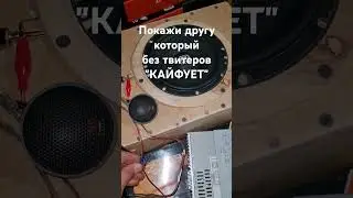 всем кто слушает музыку без твитеров посвящается #автозвук #automobile #bass #subwoofer #speaker