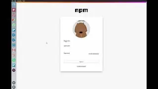 NPM Review