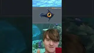 Subnautica Creature Trivia #1 (originally posted on Tiktok) #subnautica #trivia #peeper #tiktok