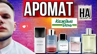 АРОМАТ НА КАЖДЫЙ ДЕНЬ 👌 СПОКОЙНЫЕ И НОСИБЕЛЬНЫЕ