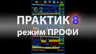 Практик 8 - настройка в режиме ПРОФИ