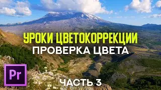 Уроки цветокоррекции природы в Adobe Premiere Pro – Проверка цвета в панели Lumetri – Часть #3