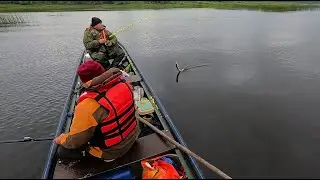 СЫКТЫВКАРСКАЯ РЫБАЛКА НА ПЕЧОРЕ \ Часть 2 \ ПОГОДА ДРЯНЬ, А УЛОВ РАСТЁТ