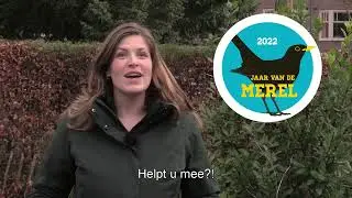 2022: Jaar van de Merel